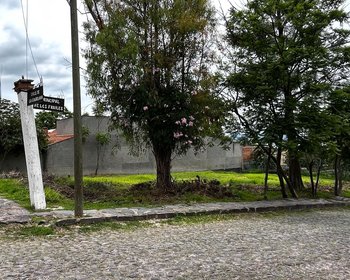 Los Frailes Corner View Lot – San Miguel de Allende real estate photo 4