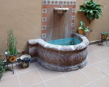 Casa & Terreno Palomas – San Miguel de Allende real estate photo 3