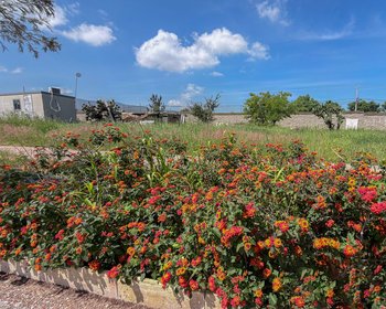Terreno Sahai – San Miguel de Allende real estate photo 3