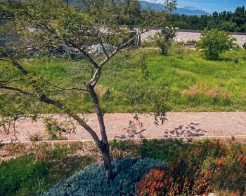 Terreno Sahai – San Miguel de Allende real estate photo 4