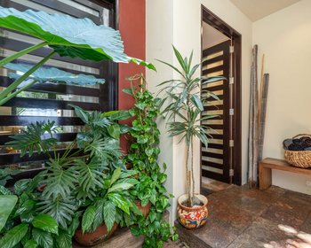 Casa Lagniappe – San Miguel de Allende real estate photo 2