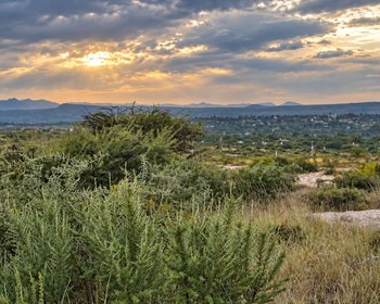 Lote Los Ranchos – San Miguel de Allende real estate photo 3