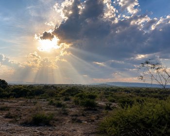 Lote Los Ranchos – San Miguel de Allende real estate photo 1