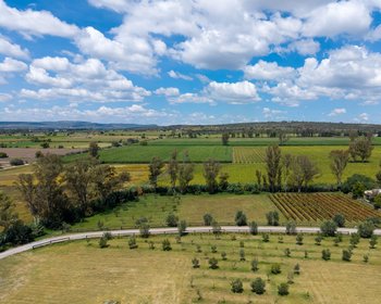 San Francisco Vineyards Lot 1 – San Miguel de Allende real estate photo 3