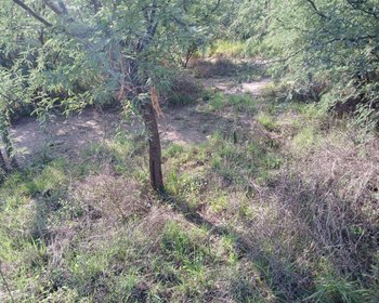 Lote Sol – San Miguel de Allende real estate photo 3