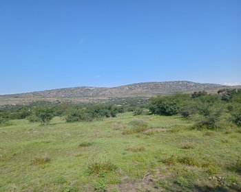 Lote Sol – San Miguel de Allende real estate photo 4