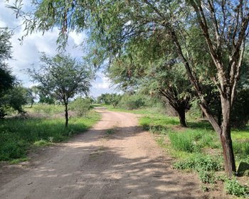 Lote Sol – San Miguel de Allende real estate photo 2
