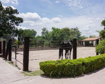Centro Ecuestre Canales – San Miguel de Allende real estate photo 4