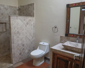  – San Miguel de Allende real estate photo 1