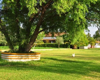 RANCHO MORENA – San Miguel de Allende real estate photo 1