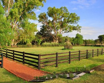 RANCHO MORENA – San Miguel de Allende real estate photo 4