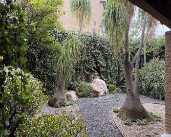 Casa de la Vía · Turnkey – San Miguel de Allende real estate photo 4