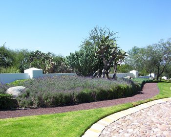 Otomí, Villas en el Lago – San Miguel de Allende real estate photo 2