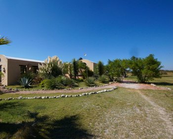 Perfect Artist Retreat – San Miguel de Allende real estate photo 3