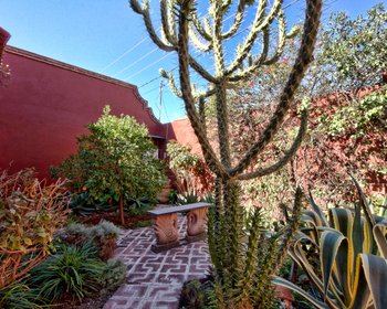 Beautiful Unfurnished Home - Long Term Rental – San Miguel de Allende real estate photo 4