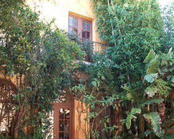 Country living only minutes from San Miguel – San Miguel de Allende real estate photo 3