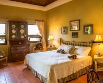 Beautiful Outdoor Space with Mature Gardens – San Miguel de Allende real estate photo 3