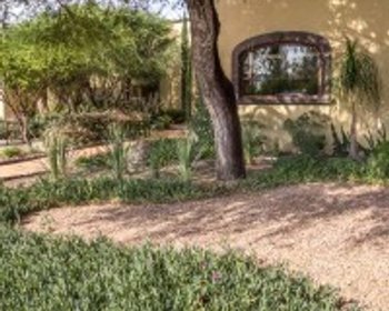 Beautiful Outdoor Space with Mature Gardens – San Miguel de Allende real estate photo 4
