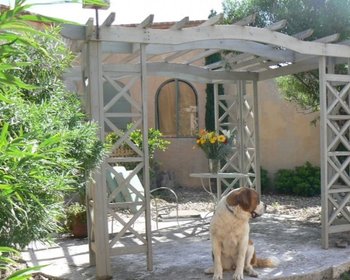 AVAILABLE – San Miguel de Allende real estate photo 1