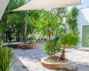 CASA VERDE – San Miguel de Allende real estate photo 1