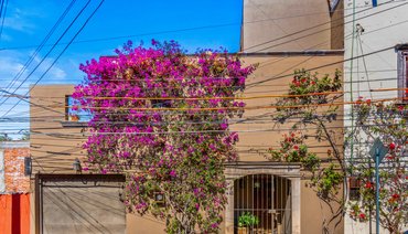Casa Cuauhtemoc Available: March 1st to November, 2027
