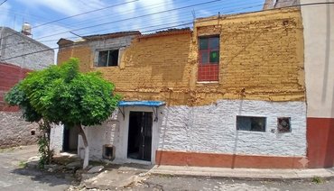 Fixer Upper Toro y Palmas