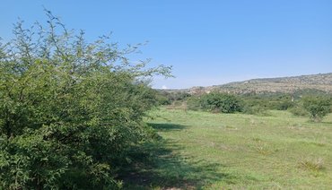 Lote Sol