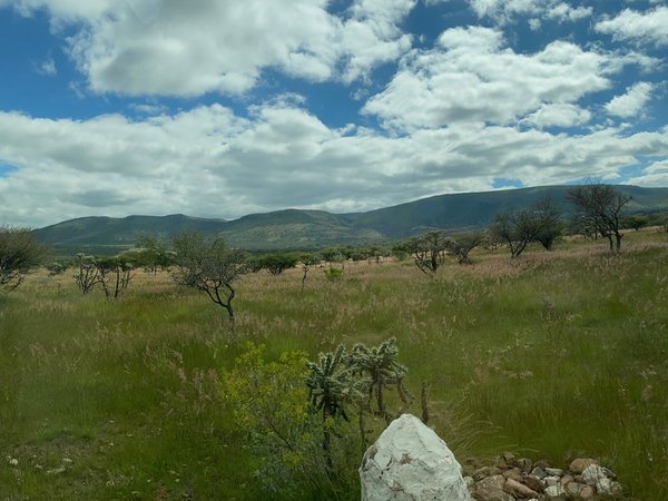 Rancho viejo