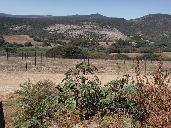 Viñedos San Miguel!!!!  A perfect place to live, relax and enjoy your live.