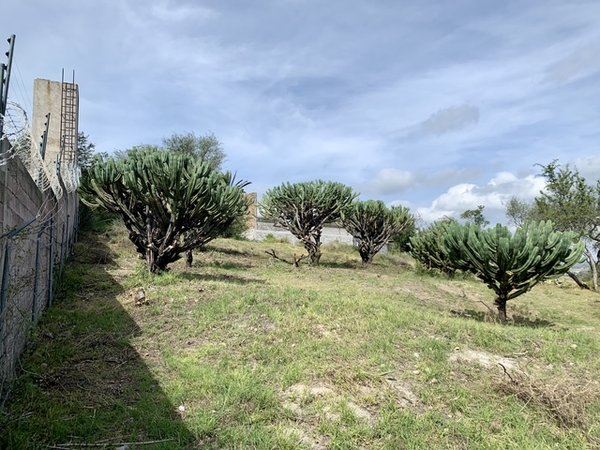 Escape to tranquility! Your dream lot awaits in the outskirts of San Miguel de Allende.