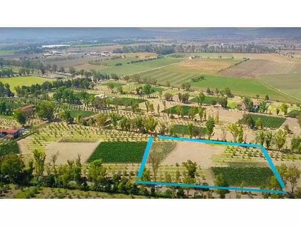 Lote Viñedo San Lucas