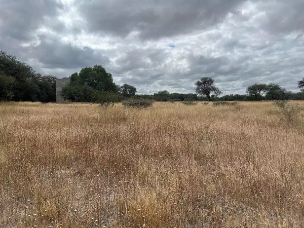 Lote Terra