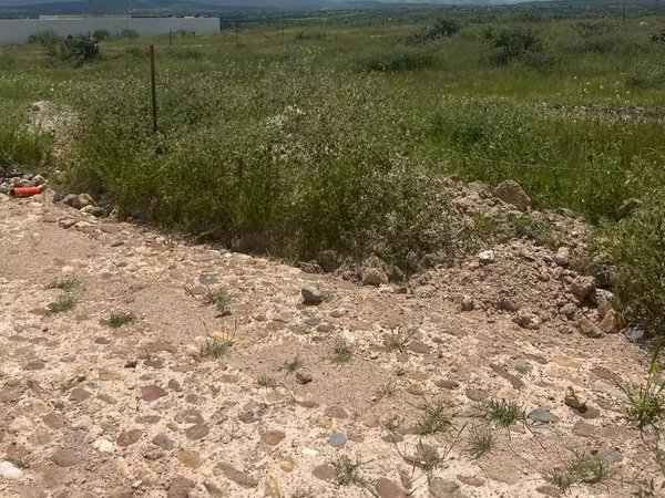 Lote Capadero 1000
