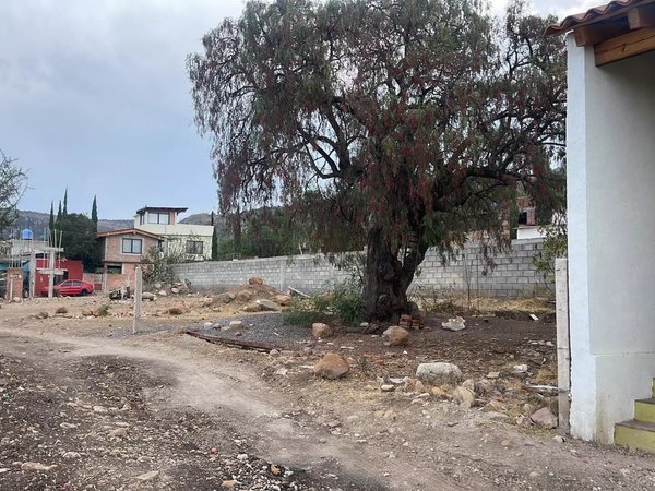 Terreno ALcocer