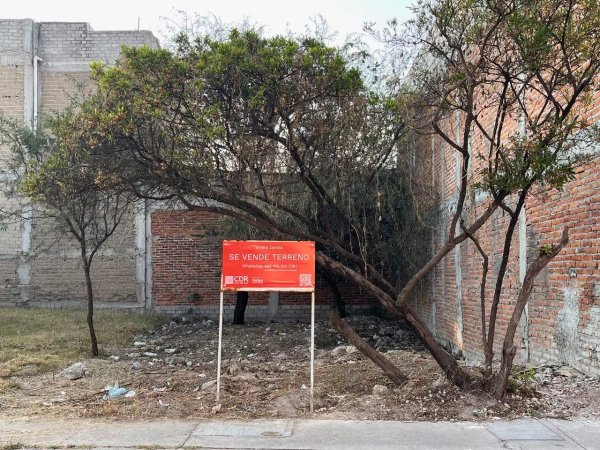 Lote Reforma