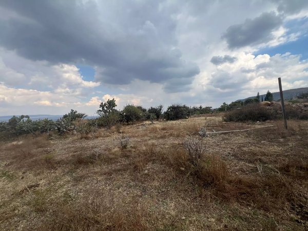 Lote La Providencia