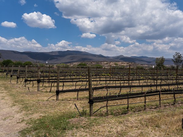 Los Remedios Lot 9