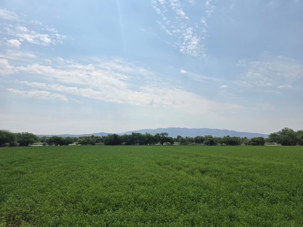 Ranchito Miguel Lot 1