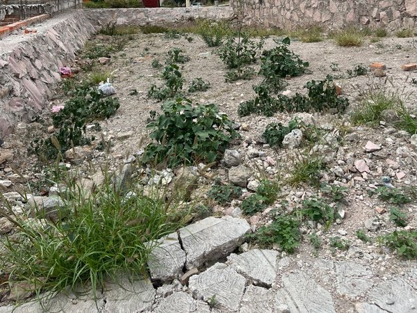 Terreno colonia San Rafael