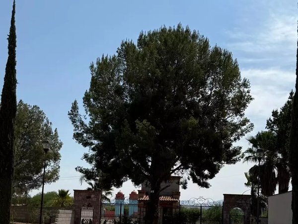 Terreno Atotonilco el Viejo