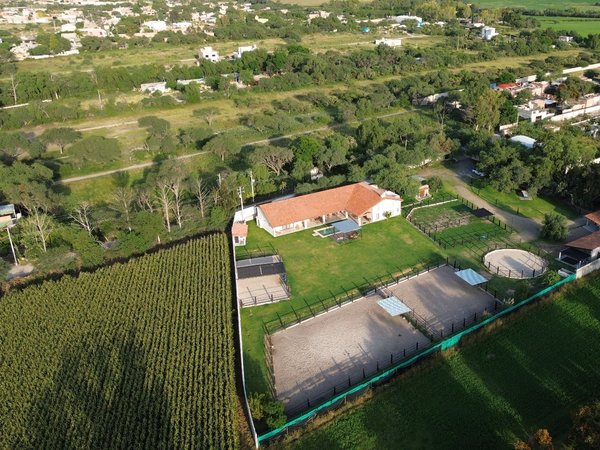 Los Pinos