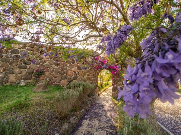 AltaVista Lot 3 – 1,043 m² | Luxury Lot Near Centro in San Miguel de Allende
