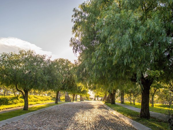 AltaVista Lot 1 – 962 m² | Boutique Eco-Community Near Centro