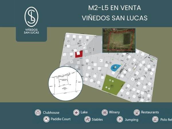 M2-L5 VIÑEDOS SAN LUCAS