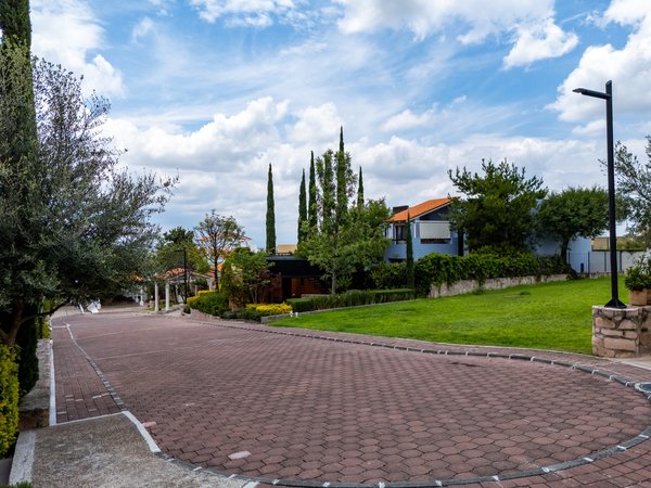 Lot Los Patios