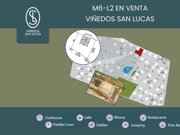 M6-L2 VIÑEDOS SAN LUCAS