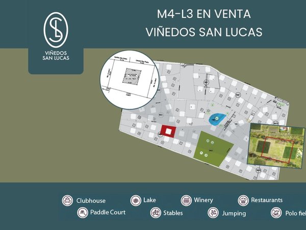 M4-L3 VIÑEDOS SAN LUCAS