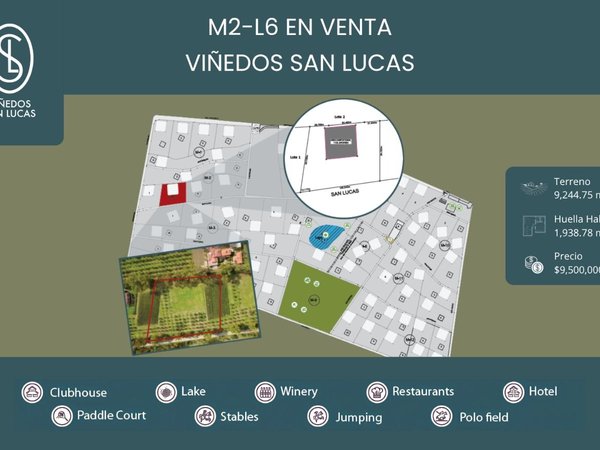 M2-L6 VIÑEDOS SAN LUCASS