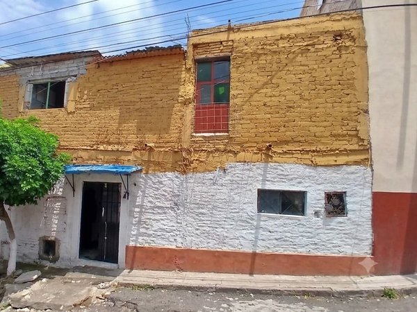 Fixer Upper Toro y Palmas