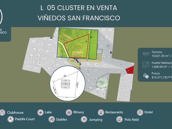L 5  CLÚSTER VIÑEDOS SAN FRANCISCO
